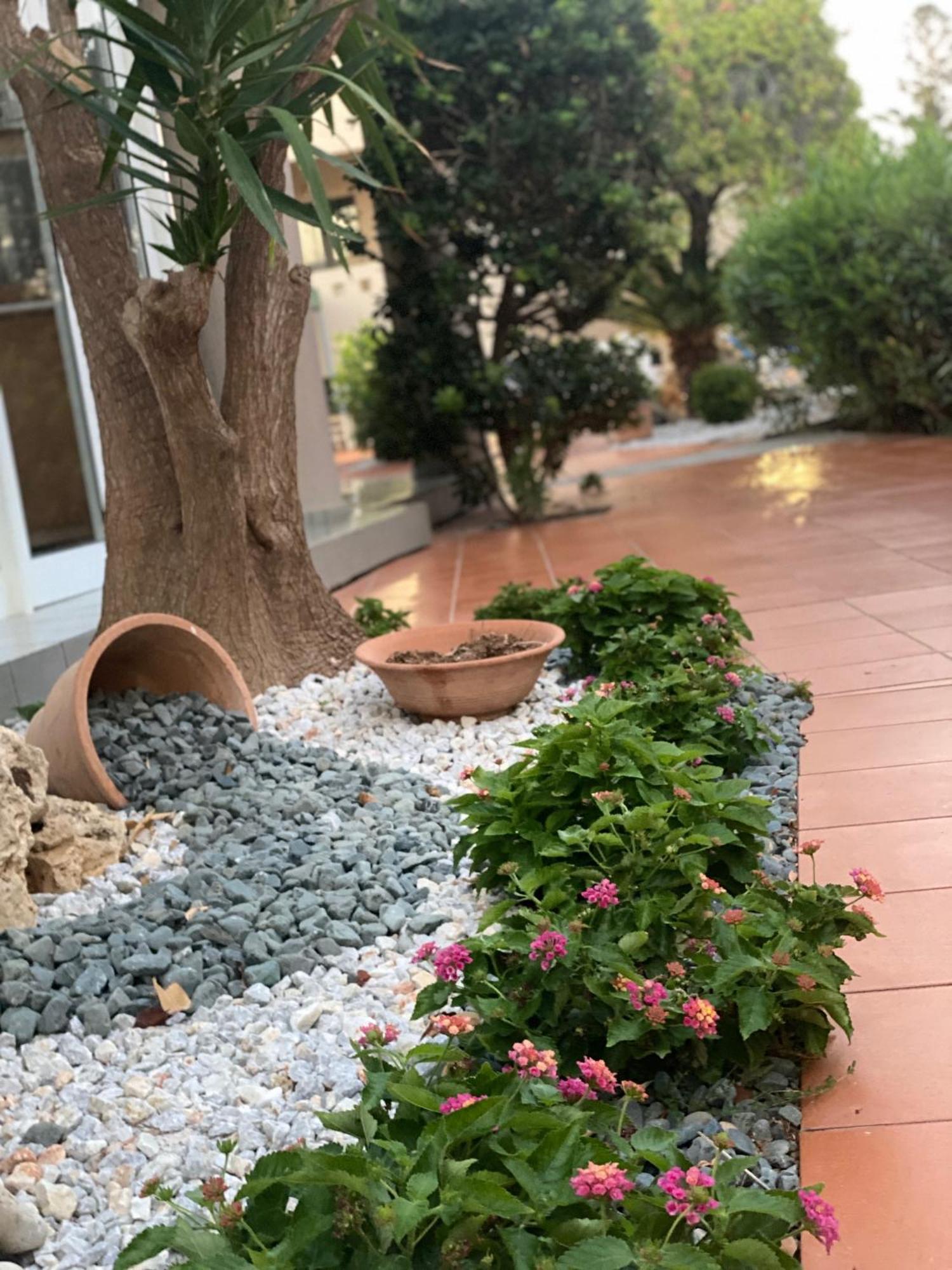 Goúrnes Creteco Hotel & Suites מראה חיצוני תמונה